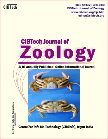 zoology research articles